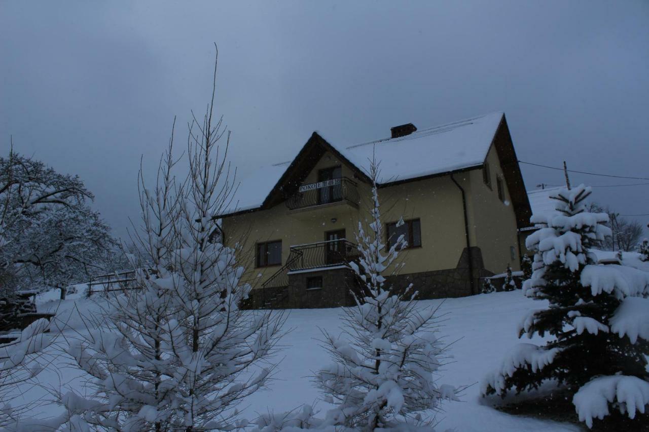 Villa Nad Zalewem Jaszczurowa Exterior foto