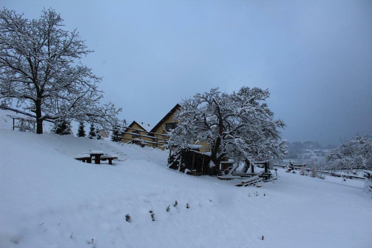 Villa Nad Zalewem Jaszczurowa Exterior foto